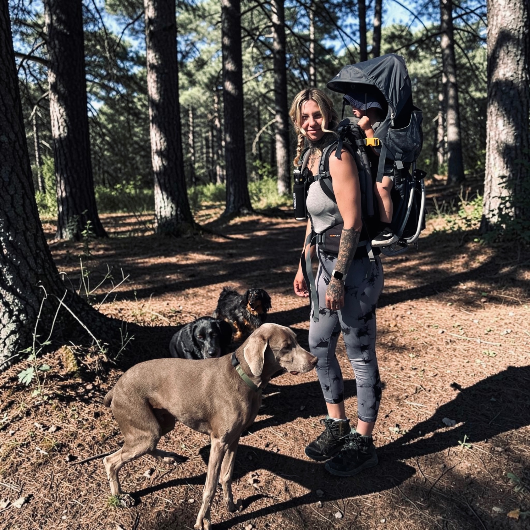 Tish hiking through a forest with her dogs and child carrier
